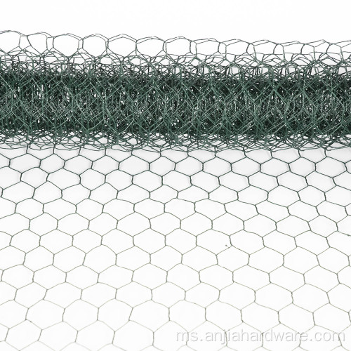 PVC bersalut hexagoal netting galvanized wire net